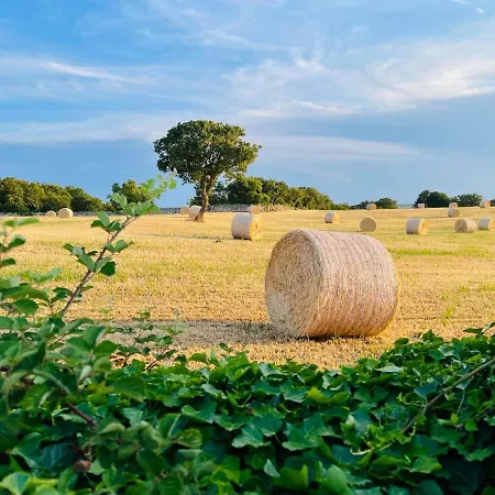 Dimora Ketty Apartmán